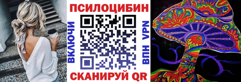 Галлюциногенные грибы Psilocybe  купить наркоту  Высоковск 